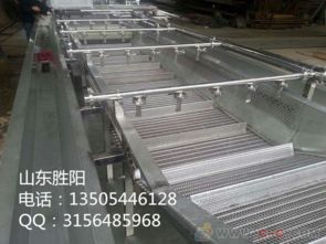 山東果蔬類氣泡清洗機生產(chǎn)廠家圖片與價格指南